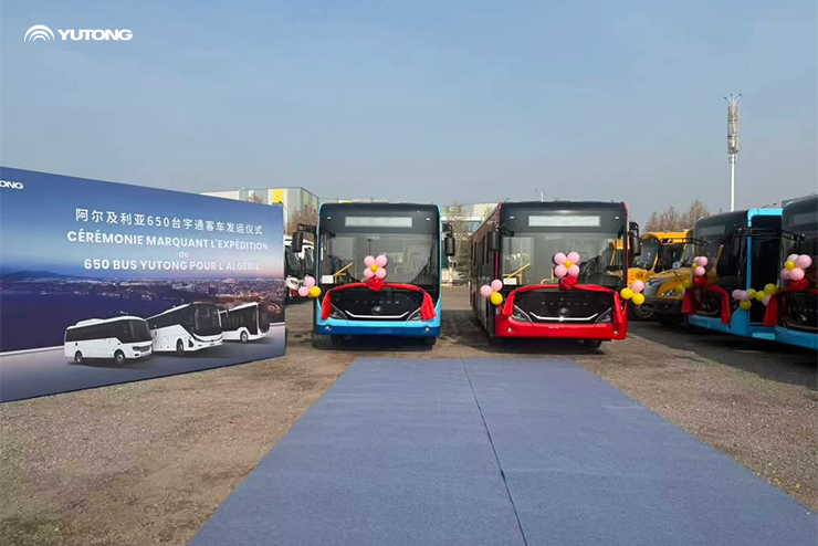Expédition de 650 bus vers l’Algérie