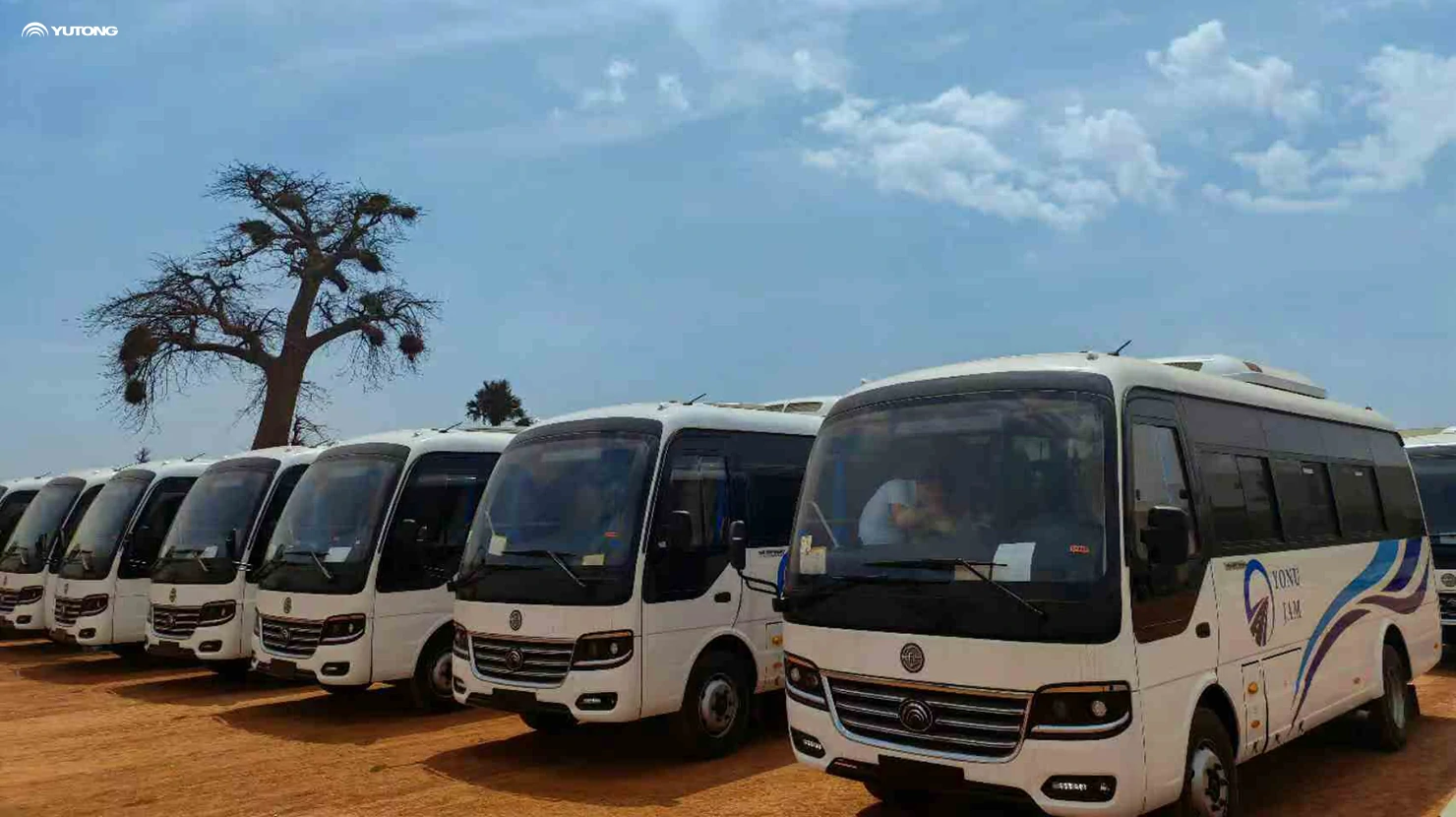 100 autobus Yutong D7 livrés au Sénégal : Renforcer la mobilité en Afrique de lOuest et approfondir la coopération sino-sénégalaise