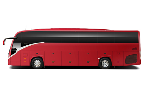 T12/ T12