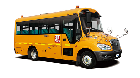 ZK6669DX
